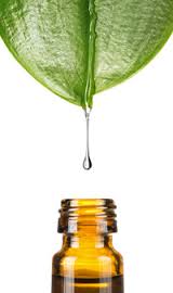 Essential Oils & Blends