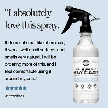 Lots of Purpose Spray Cleaner | Ready-To-Use | Our Popular Scents