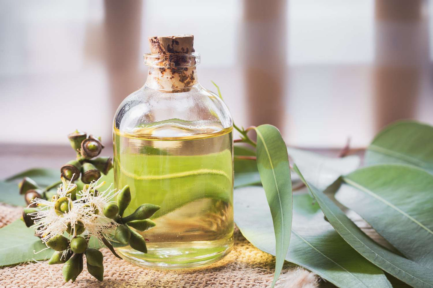 Warm Me Up - Body Massage Oil