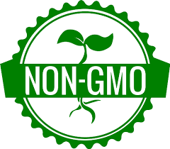 logo 6