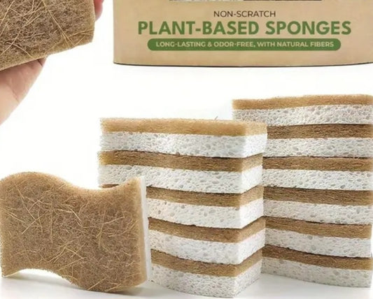 Natural Dish Sponge