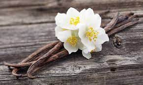 Dry Body Oil Spray