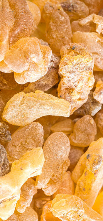 Frankincense (Carterii) Essential Oil